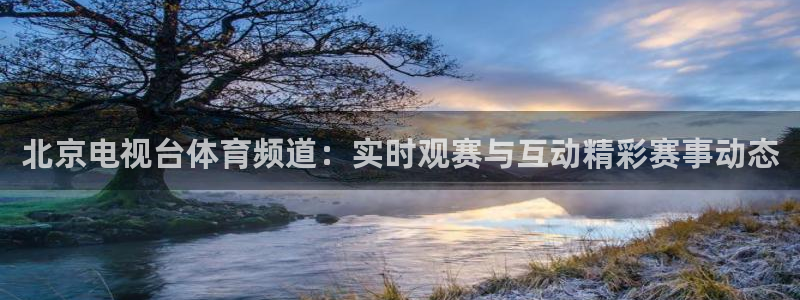 北京电视台体育频道：实时观赛与互动精彩赛事动态